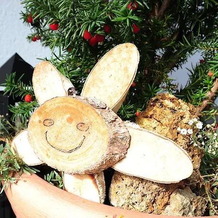 Haus Brunnacker Apartment